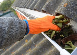 Roof cleaning Windsor