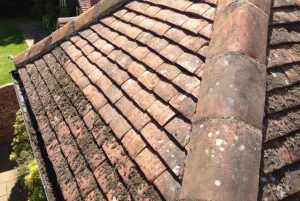 Roof Cleaning Thorpe