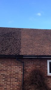 Roof cleaning Windsor