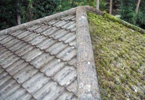 Roof cleaning Wokingham