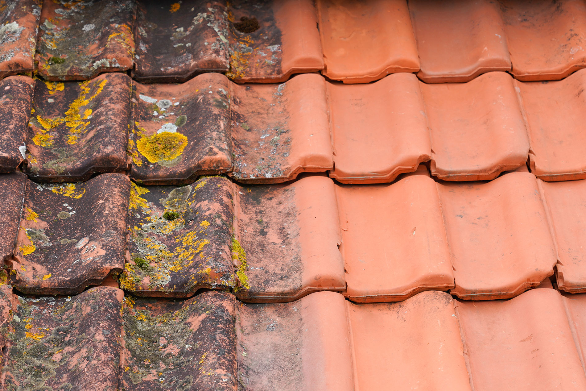 roof cleaning Bagshot